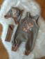 Preview: Set Latzhose und Ohrenmütze Fuchs Gr. 62