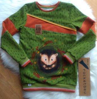 Sweat Pulli Igel Gr. 128